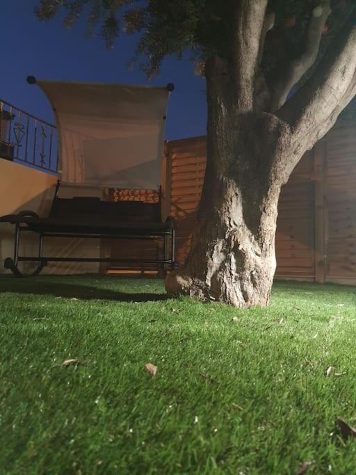 Superbe Appartement Avec Jacuzzi Et Exterieur Perpignan Exterior photo